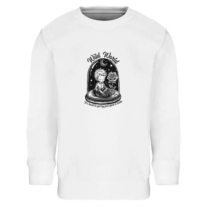 e09e8516-9186-4786-bc37-53528d4f3d25